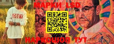 мяу мяу мука Кандалакша