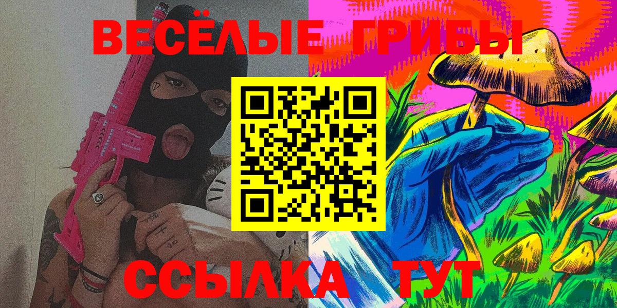 Псилоцибиновые грибы мицелий  даркнет сайт  Кувандык  Вход с VPN 